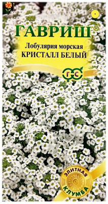 Лобулярия морская КРИСТАЛЛ БЕЛЫЙ ГАВРИШ