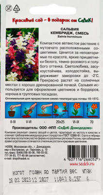 Сальвия Кембридж (хорминовая, смесь)