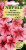 Петуния Мороженое клубничное F1 ГАВРИШ Петуния Мороженое клубничное F1 ГАВРИШ