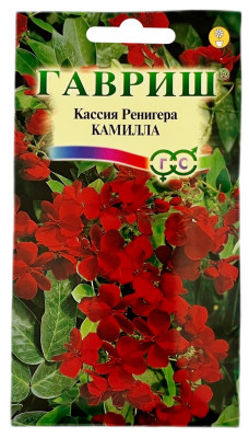 Кассия ренигера КАМИЛЛА ГАВРИШ