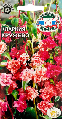 Кларкия Кружево (высокорослая смесь)