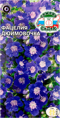 Фацелия колокольчиковая ДЮЙМОВОЧКА СИНЯЯ СеДеК