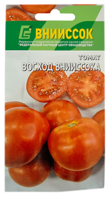 Томат Восход ВНИИССОК
