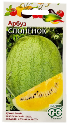 Арбуз СЛОНЁНОК ГАВРИШ