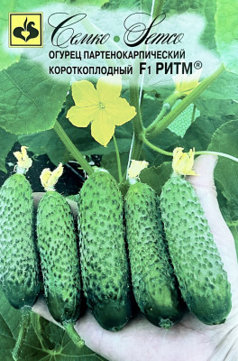 Огурец Ритм F1 СЕМКО