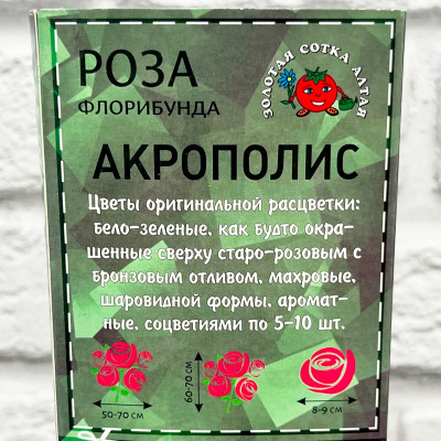 Роза АКРОПОЛИС описание