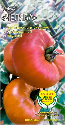 Томат ЧЕЛЯБА Любовь Мязина