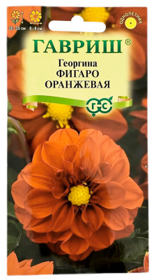 Георгина ФИГАРО ОРАНЖЕВАЯ ГАВРИШ