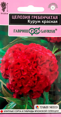 Целозия Курум красная гребенчатая 8шт