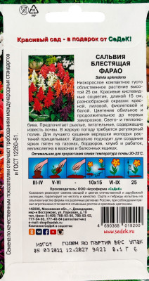 Сальвия Фарао (блестящая, низкорослая, смесь цветов)