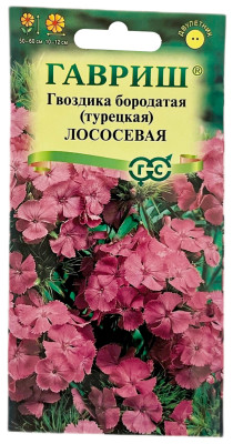 Гвоздика бородатая турецкая ЛОСОСЕВАЯ ГАВРИШ